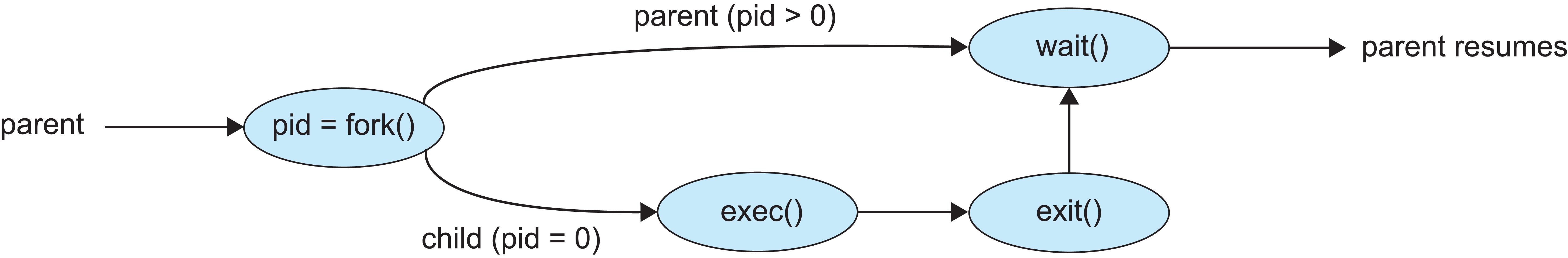 Shell'in fork(), exec() ve wait() adımlarını gösteren akış diyagramı.
